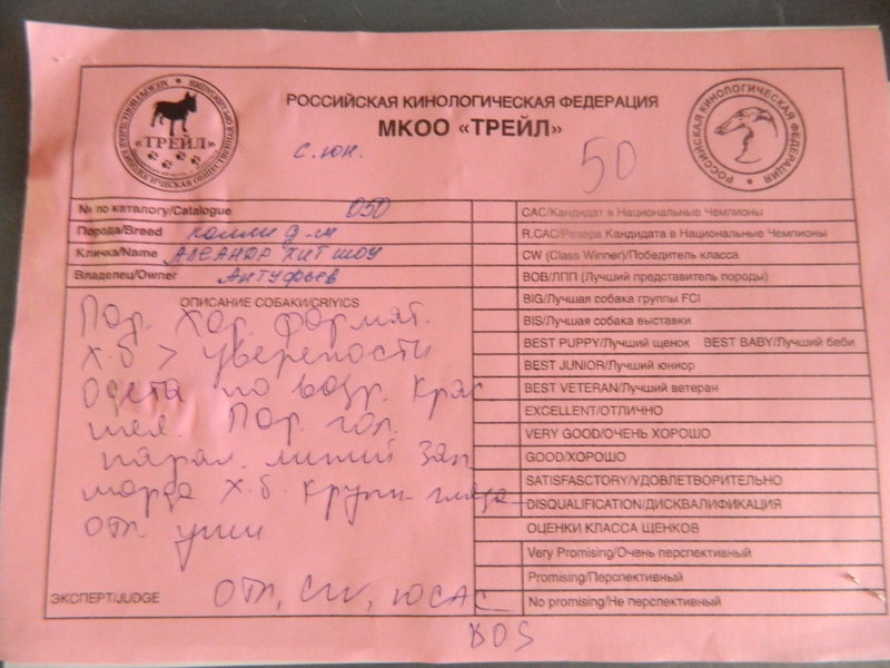 Изображение