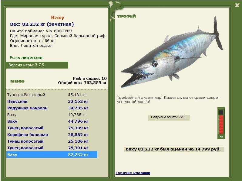 Большой барьерный риф 