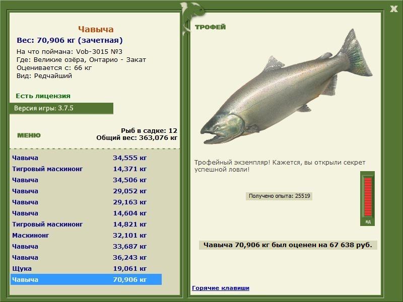  Закат • Великие Американские озёра • РУССКАЯ РЫБАЛКА