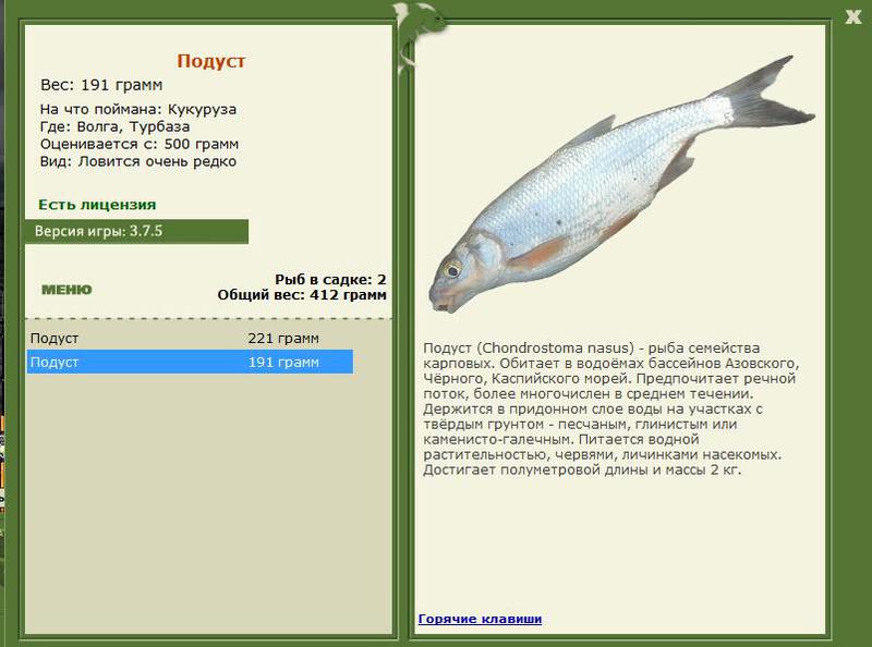 РУССКАЯ РЫБАЛКА Installsoft Edition 