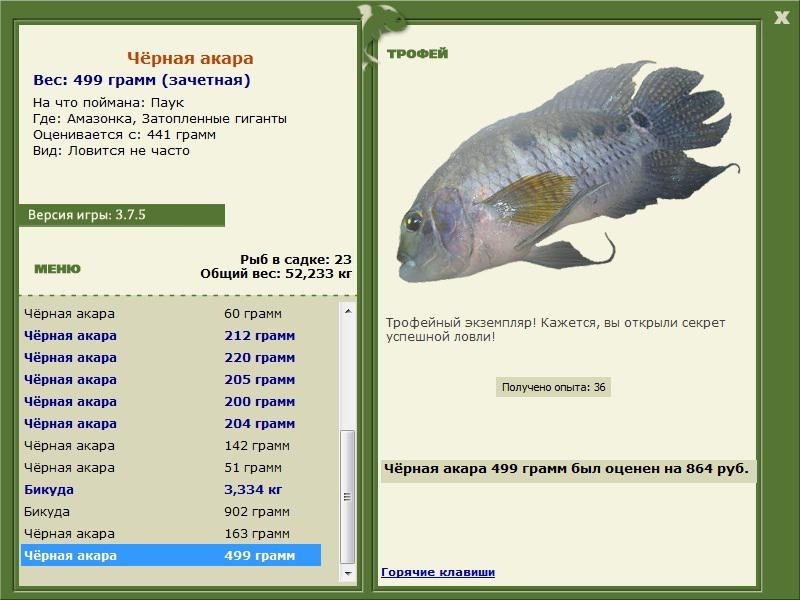 Затопленные гиганты 