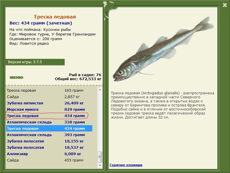 турниры • РУССКАЯ РЫБАЛКА
