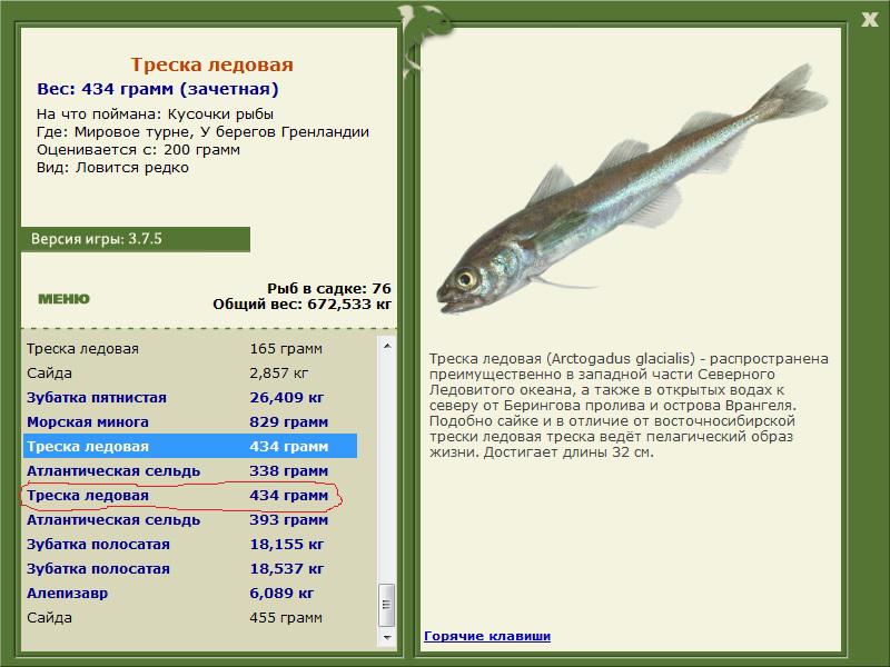 РУССКАЯ РЫБАЛКА Installsoft Edition 