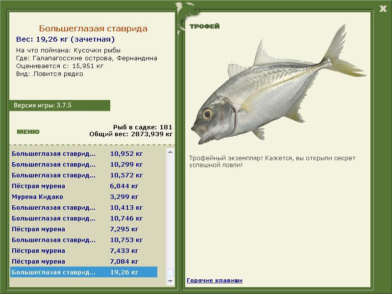 турниры • РУССКАЯ РЫБАЛКА