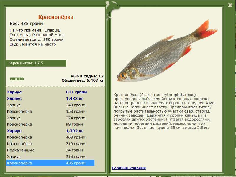 РУССКАЯ РЫБАЛКА Installsoft Edition 