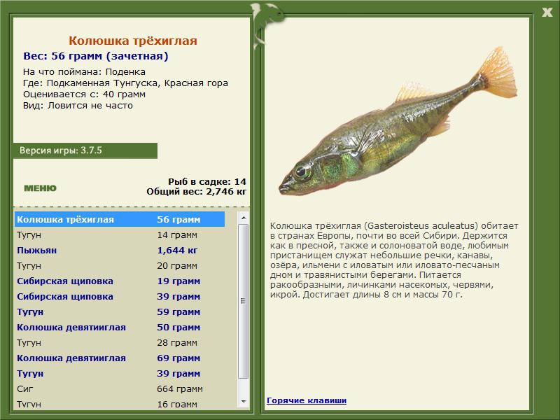 РУССКАЯ РЫБАЛКА Installsoft Edition 