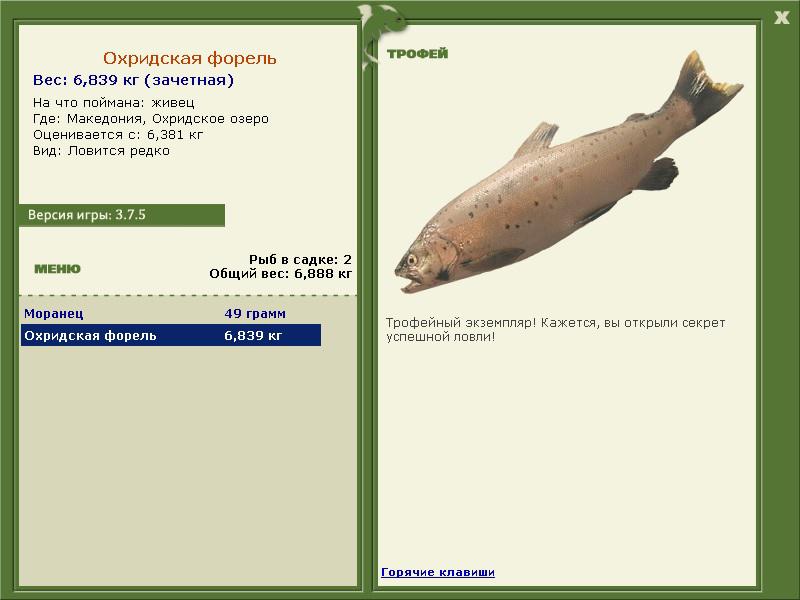 Охридское озеро 