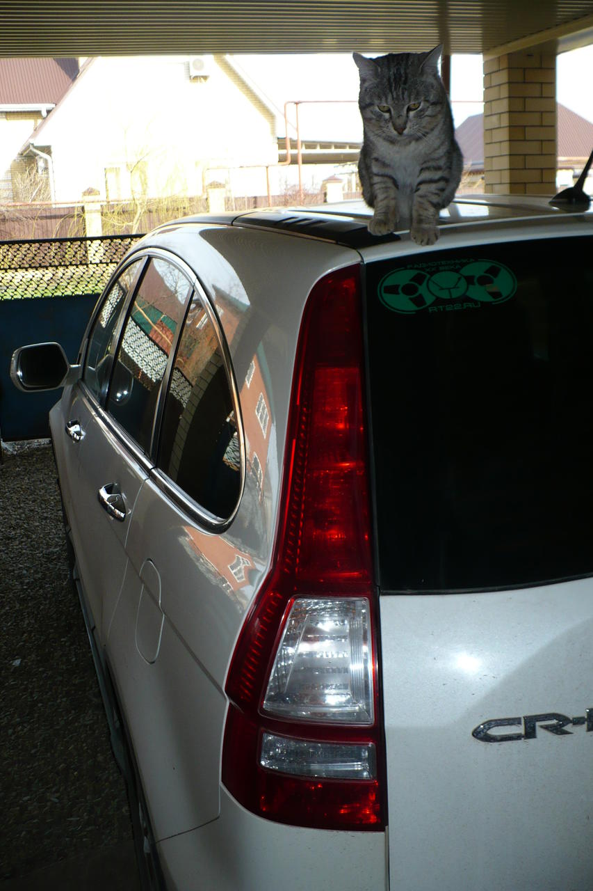  Наклейка форума RT22.RU