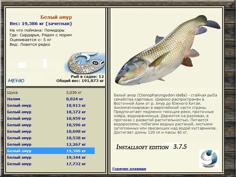 Рядом с морем 