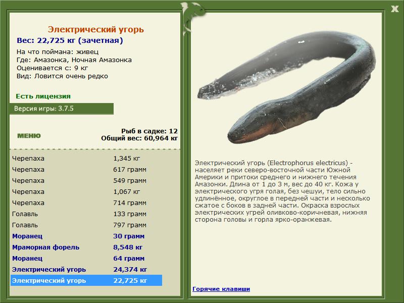 РУССКАЯ РЫБАЛКА Installsoft Edition 