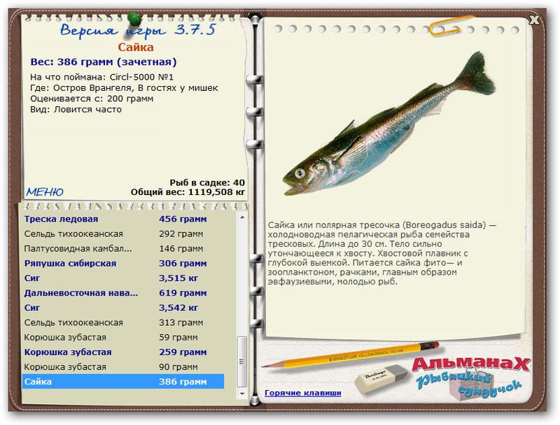 Остров Врангеля 