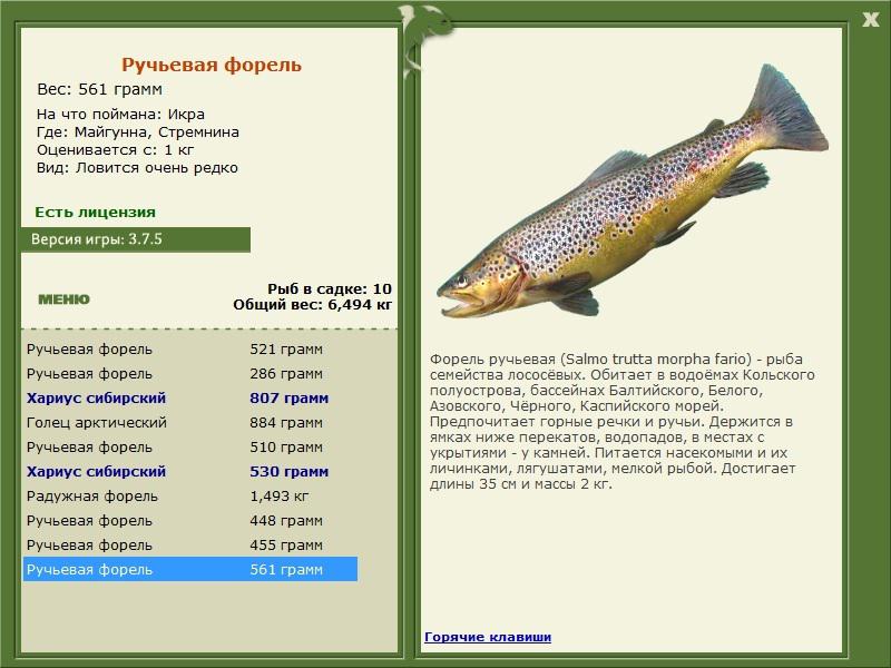 РУССКАЯ РЫБАЛКА Installsoft Edition 