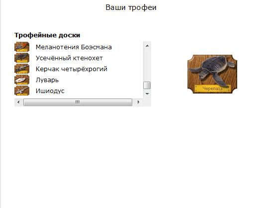 турниры • РУССКАЯ РЫБАЛКА