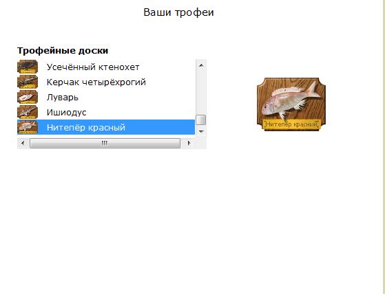 турниры • РУССКАЯ РЫБАЛКА