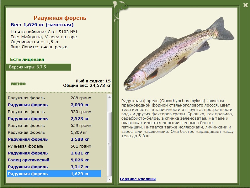 У леса на горе 
