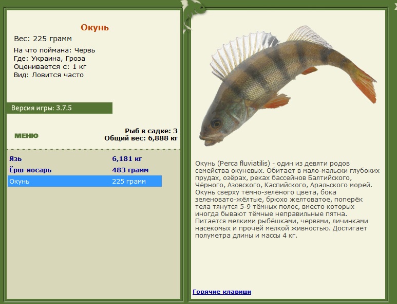 Гроза 