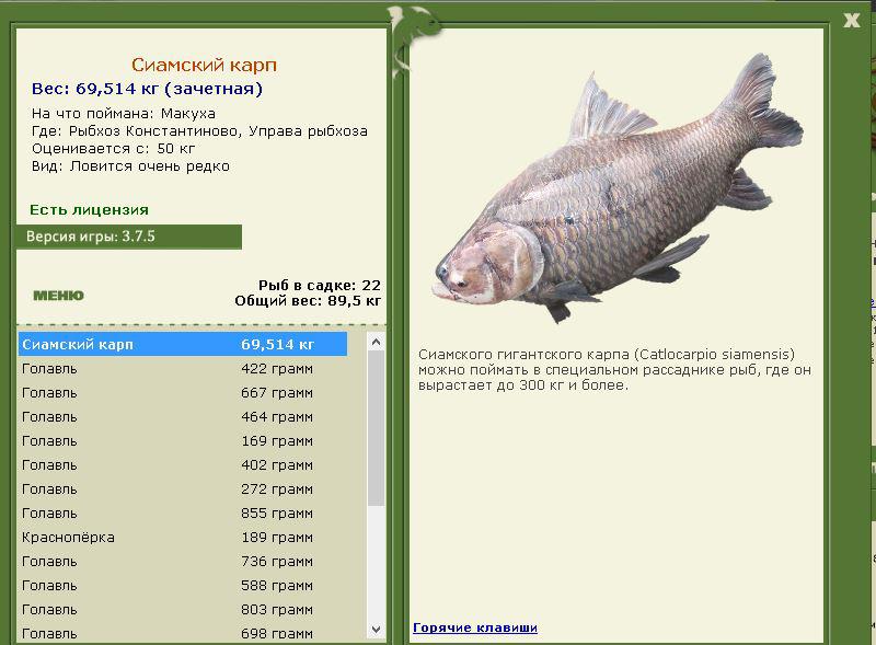 РУССКАЯ РЫБАЛКА Installsoft Edition 