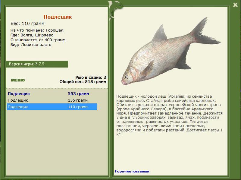 РУССКАЯ РЫБАЛКА Installsoft Edition 