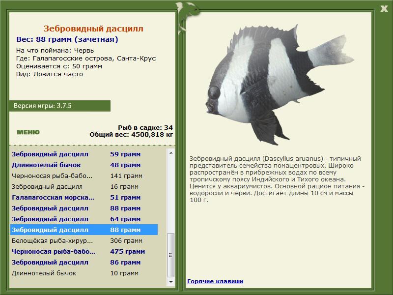 РУССКАЯ РЫБАЛКА Installsoft Edition 