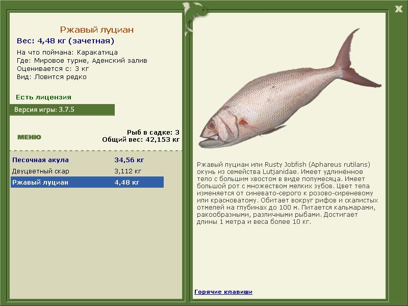 Рр3 плотва: найдено 86 изображений