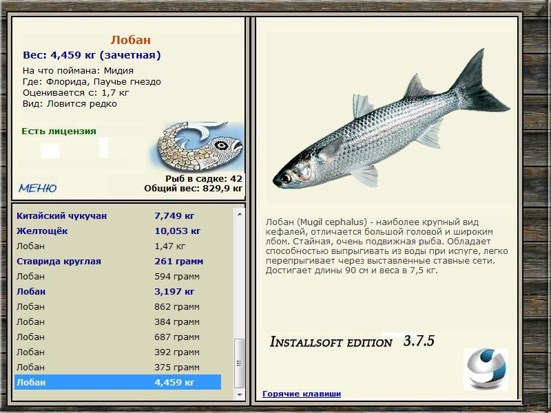 РУССКАЯ РЫБАЛКА Installsoft Edition 