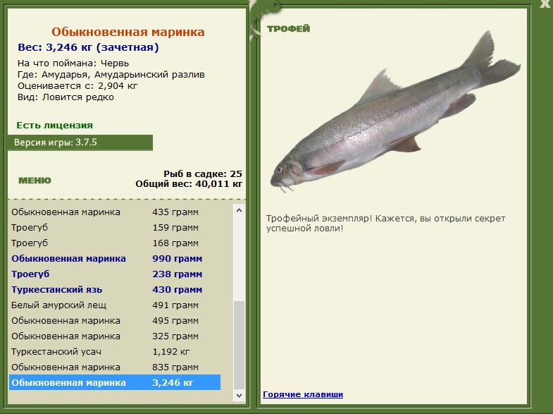 Амударьинский разлив 