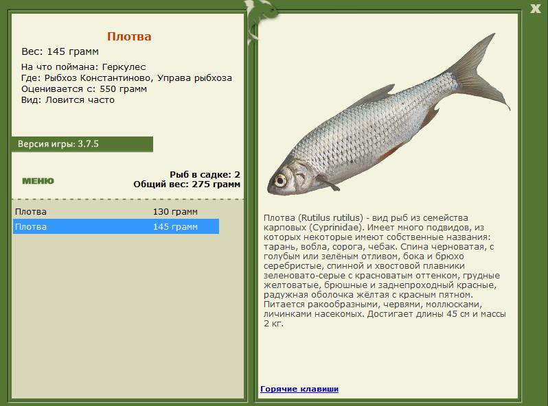 РУССКАЯ РЫБАЛКА Installsoft Edition 