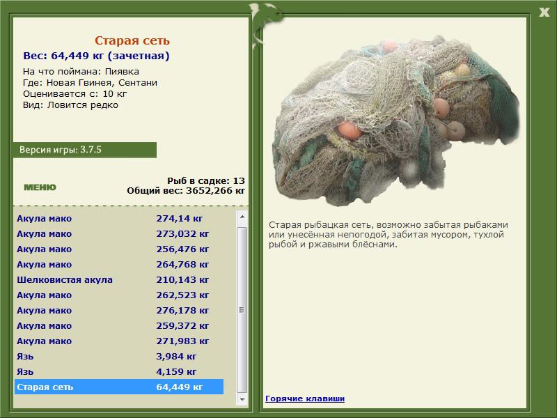 Старая сеть 