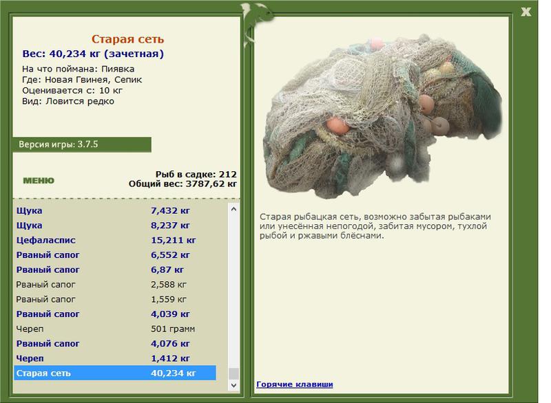Старая сеть 