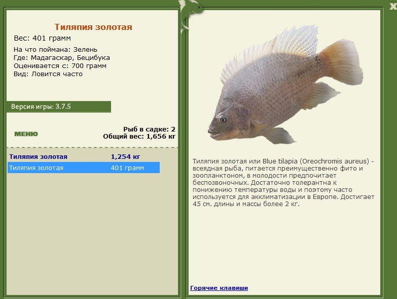Бецибука 