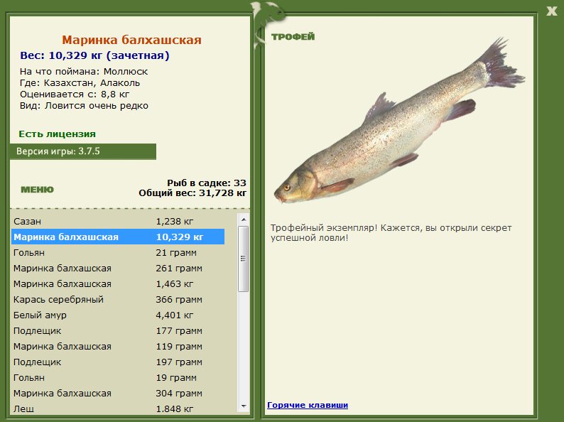 На что ловить маринку
