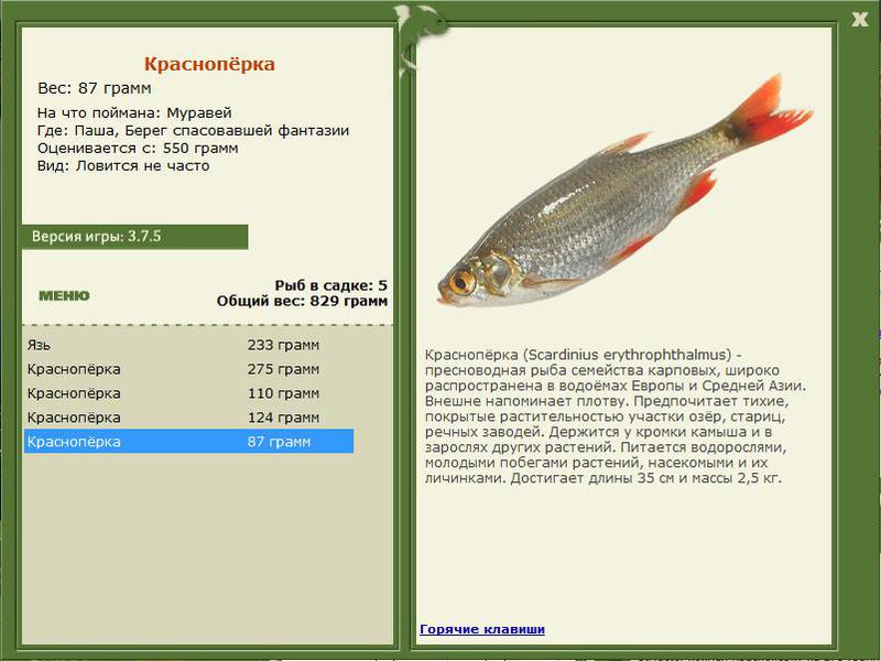 РУССКАЯ РЫБАЛКА Installsoft Edition 
