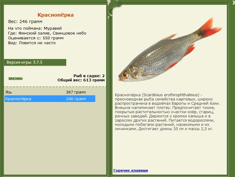 Свинцовое небо 