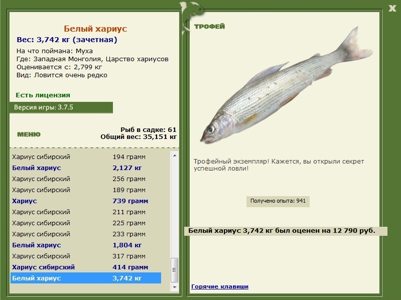 Царство хариусов 
