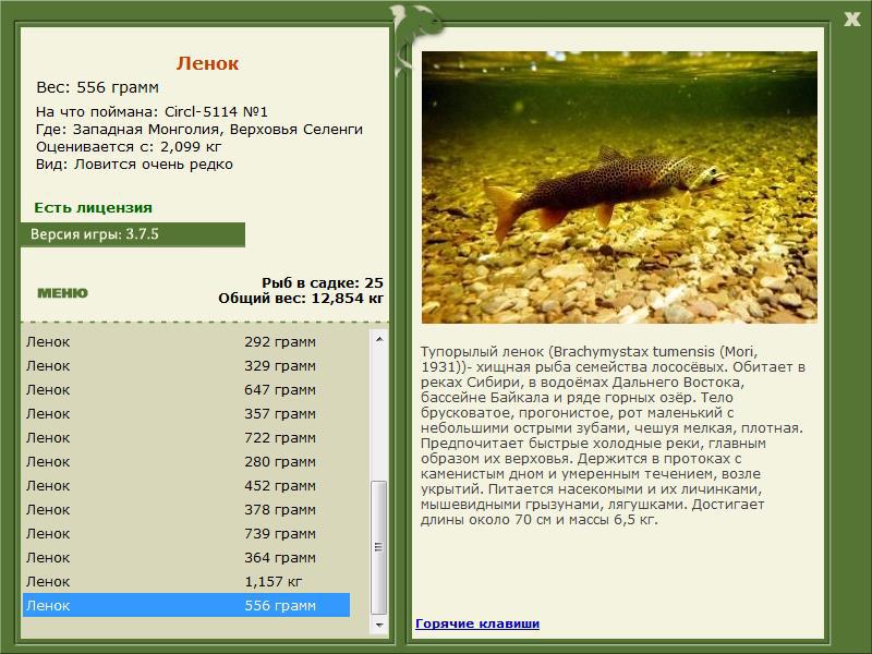 Верховья Селенги 