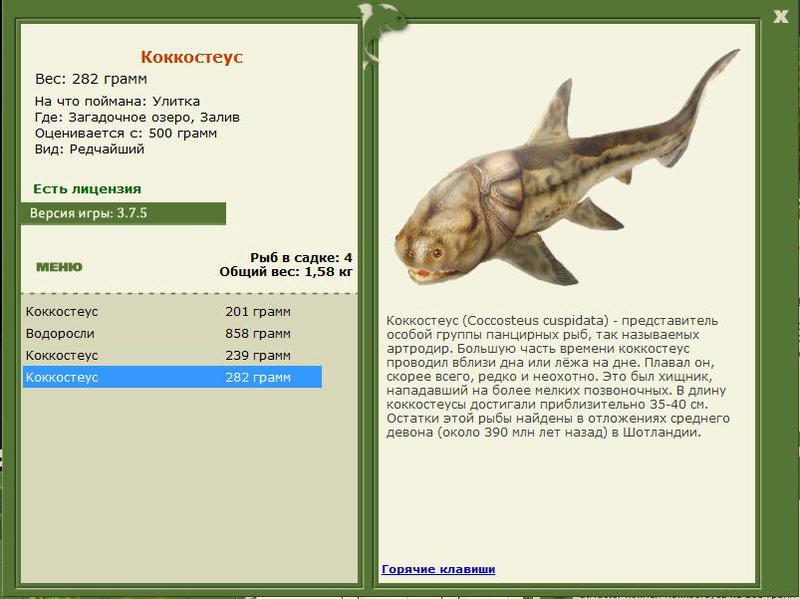 РУССКАЯ РЫБАЛКА Installsoft Edition 