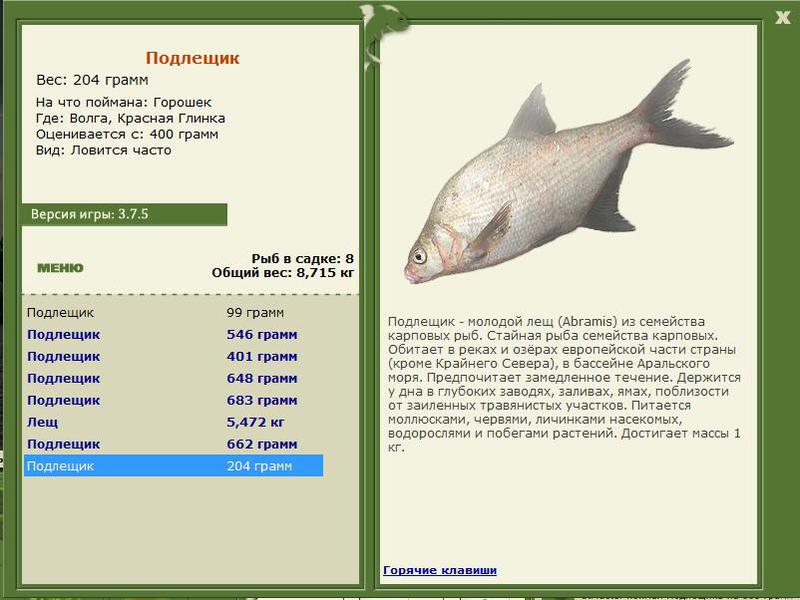 РУССКАЯ РЫБАЛКА Installsoft Edition 