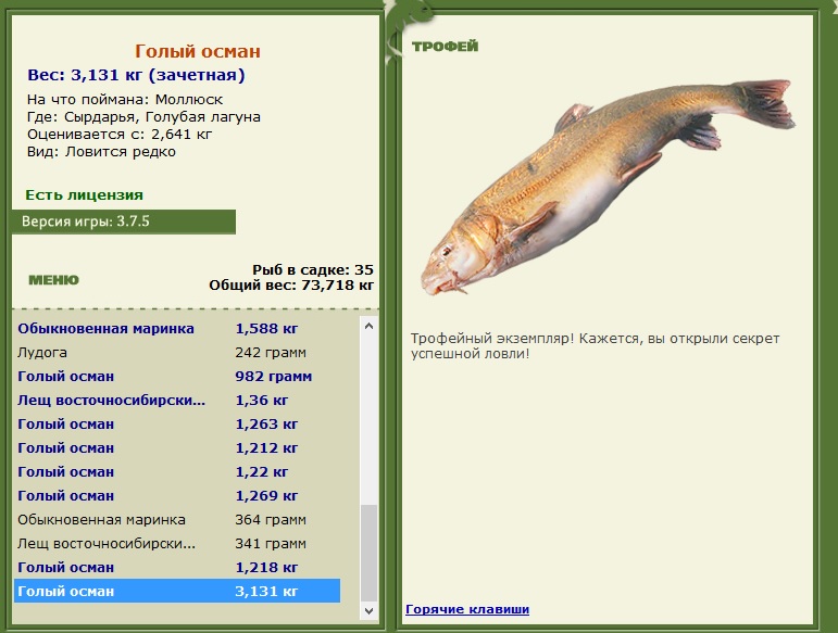 Голый осман 