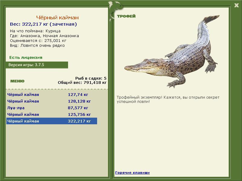 Чёрный кайман 