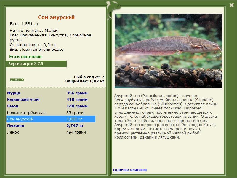 Подкаменная Тунгуска 