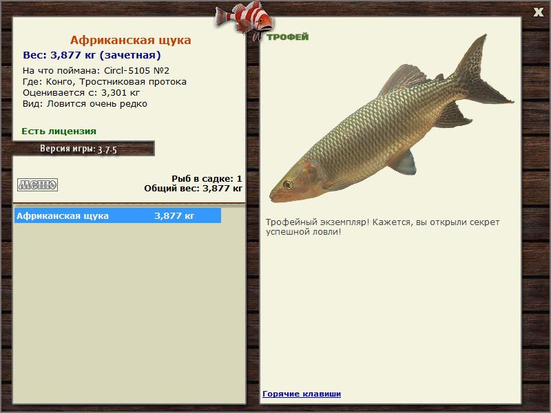 5105 • Блёсны • РУССКАЯ РЫБАЛКА