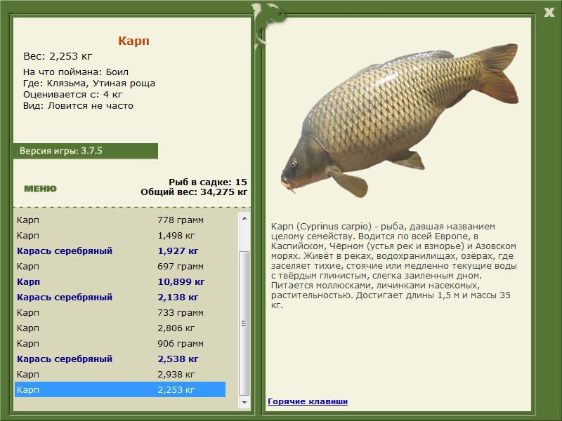 РУССКАЯ РЫБАЛКА Installsoft Edition 