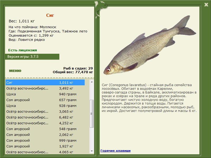 РУССКАЯ РЫБАЛКА Installsoft Edition 