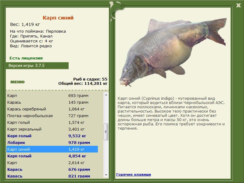 РУССКАЯ РЫБАЛКА Installsoft Edition 