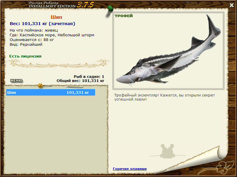 Шип 