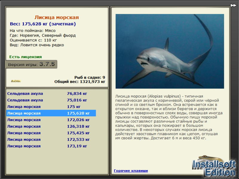 Северный фьорд 