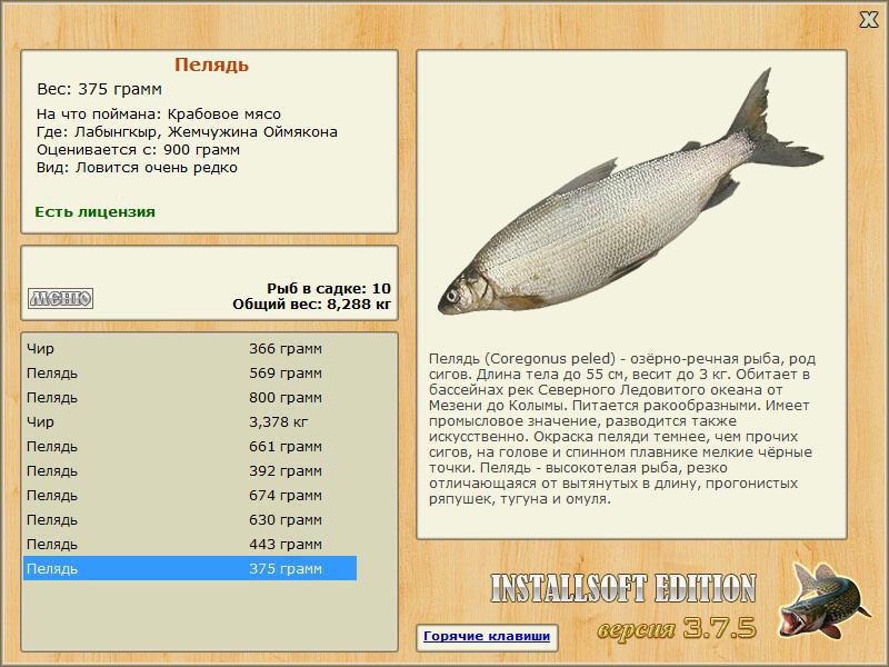 Жемчужина Оймякона 
