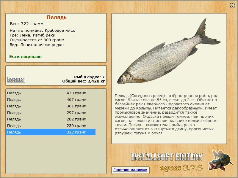 Изгиб реки 