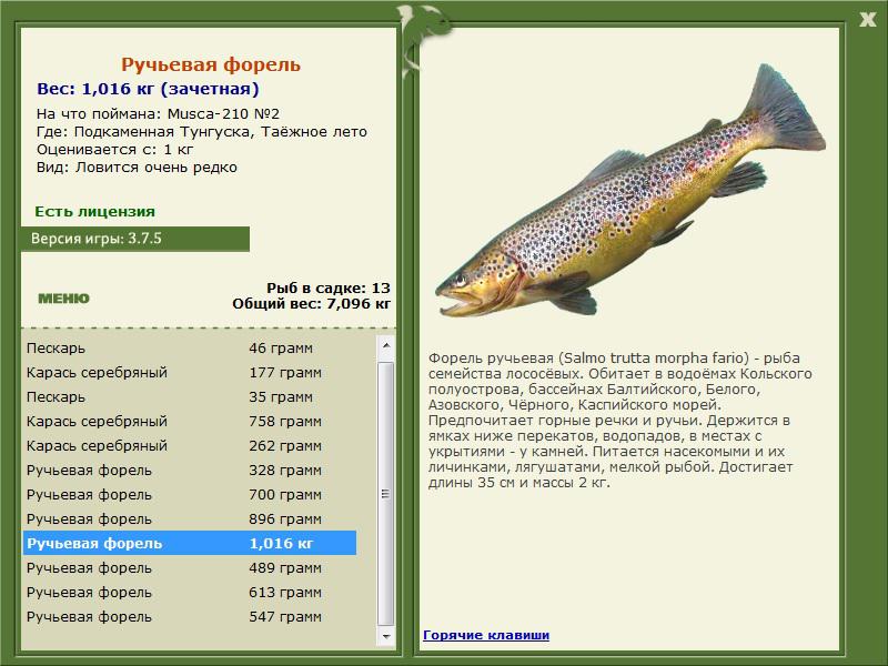 РУССКАЯ РЫБАЛКА Installsoft Edition 