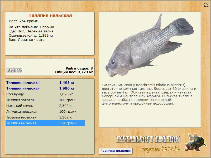 Зелёный залив 